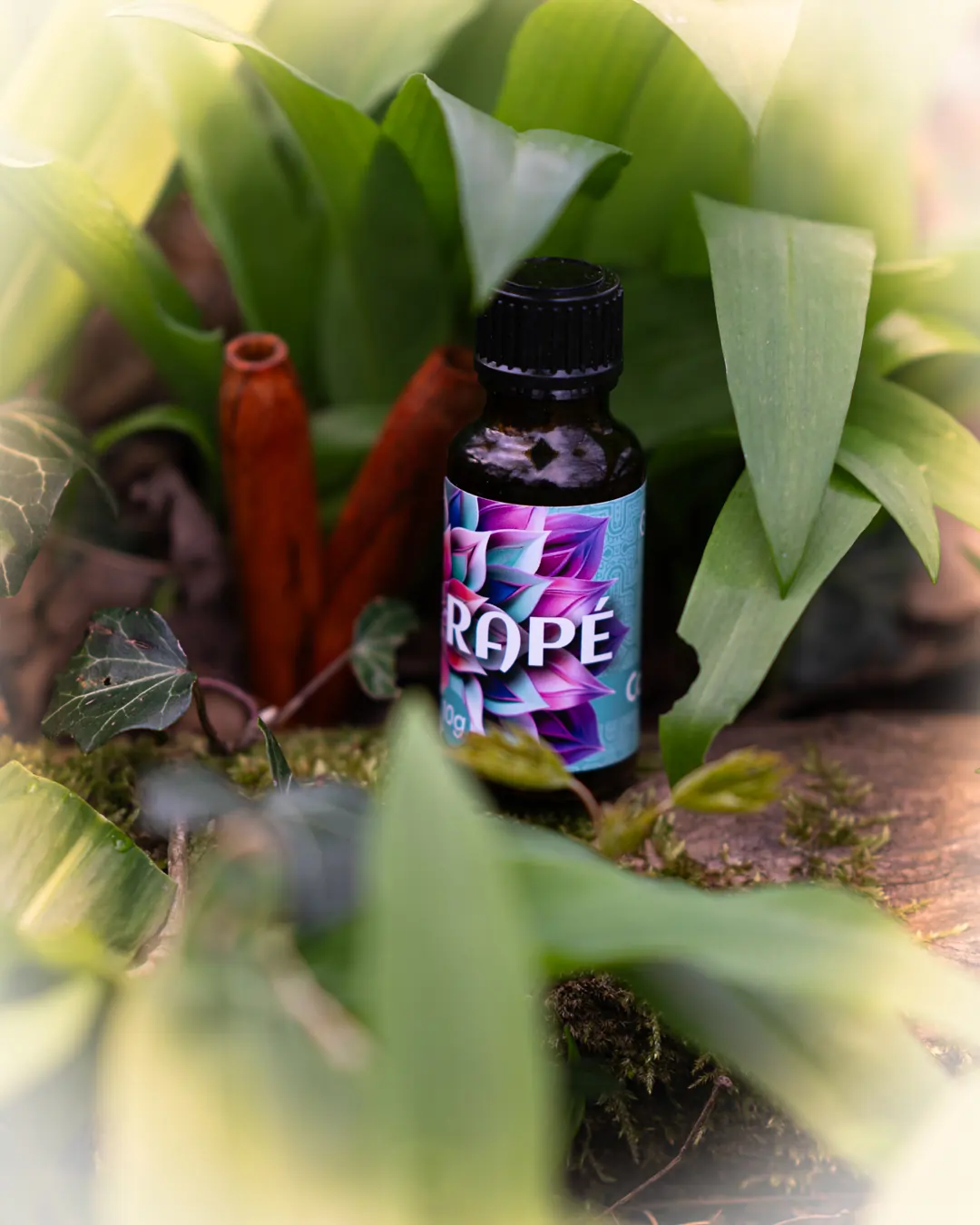 rapé copaiba stimmung