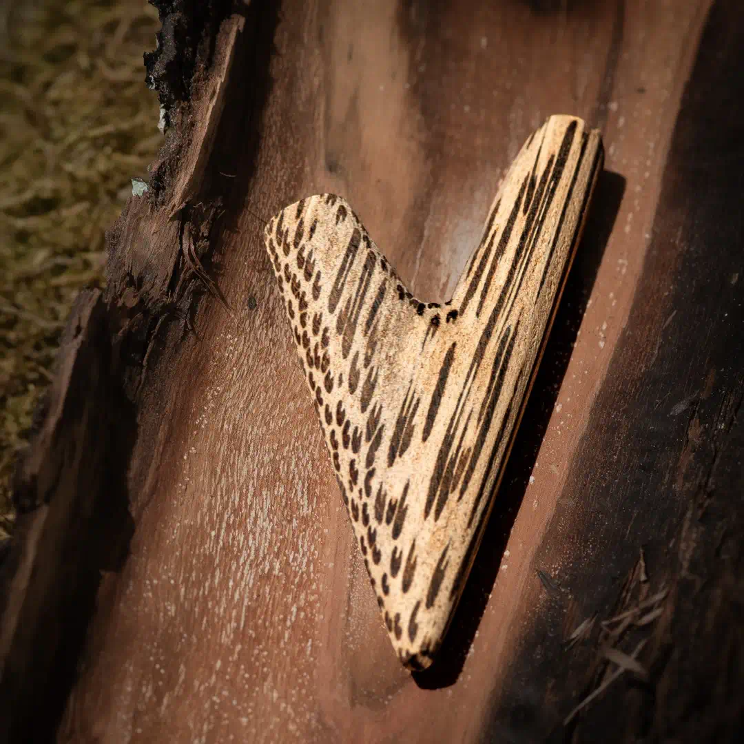 kuripe aus chonta ambience