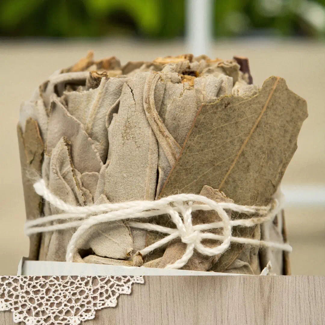 weißer salbei und eukalyptus 2