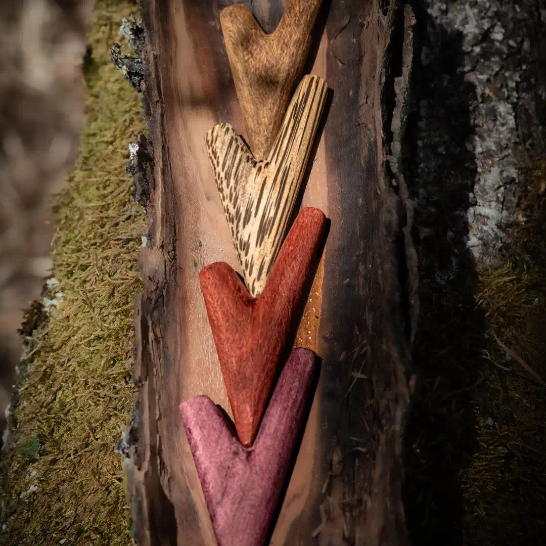 kuripe simpel ambience