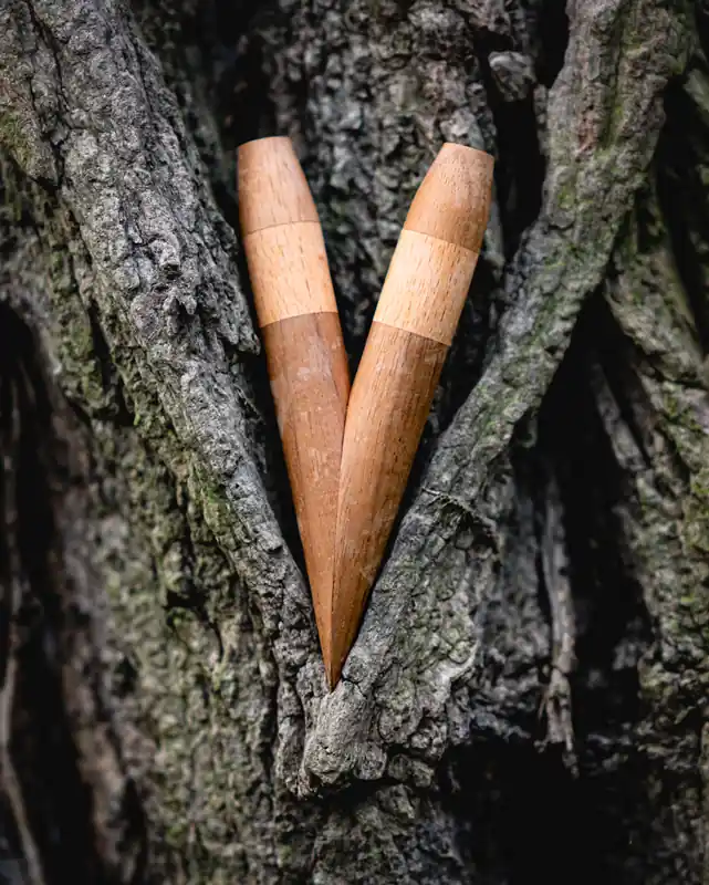 kuripe aus walnuss und buche im baum 1