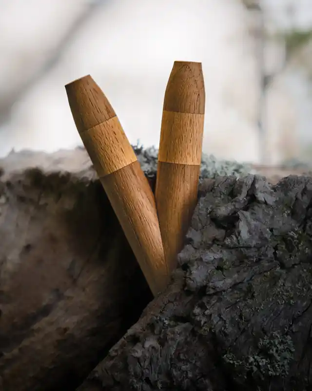 kuripe aus walnuss und buche im baum 2