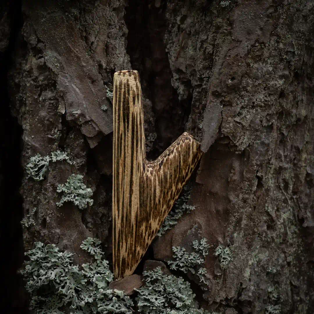 kuripe aus chonta ambience 2