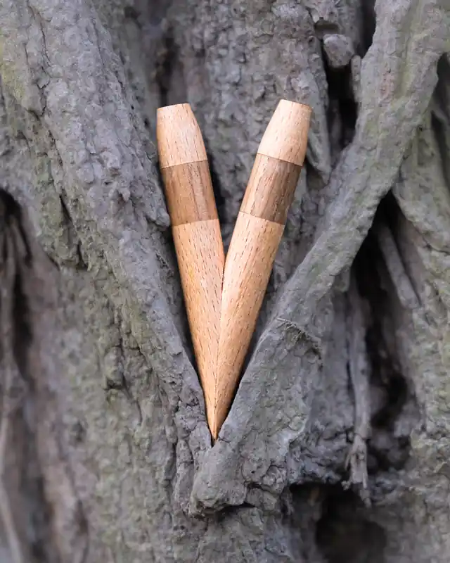 kuripe aus buche und walnuss im baum