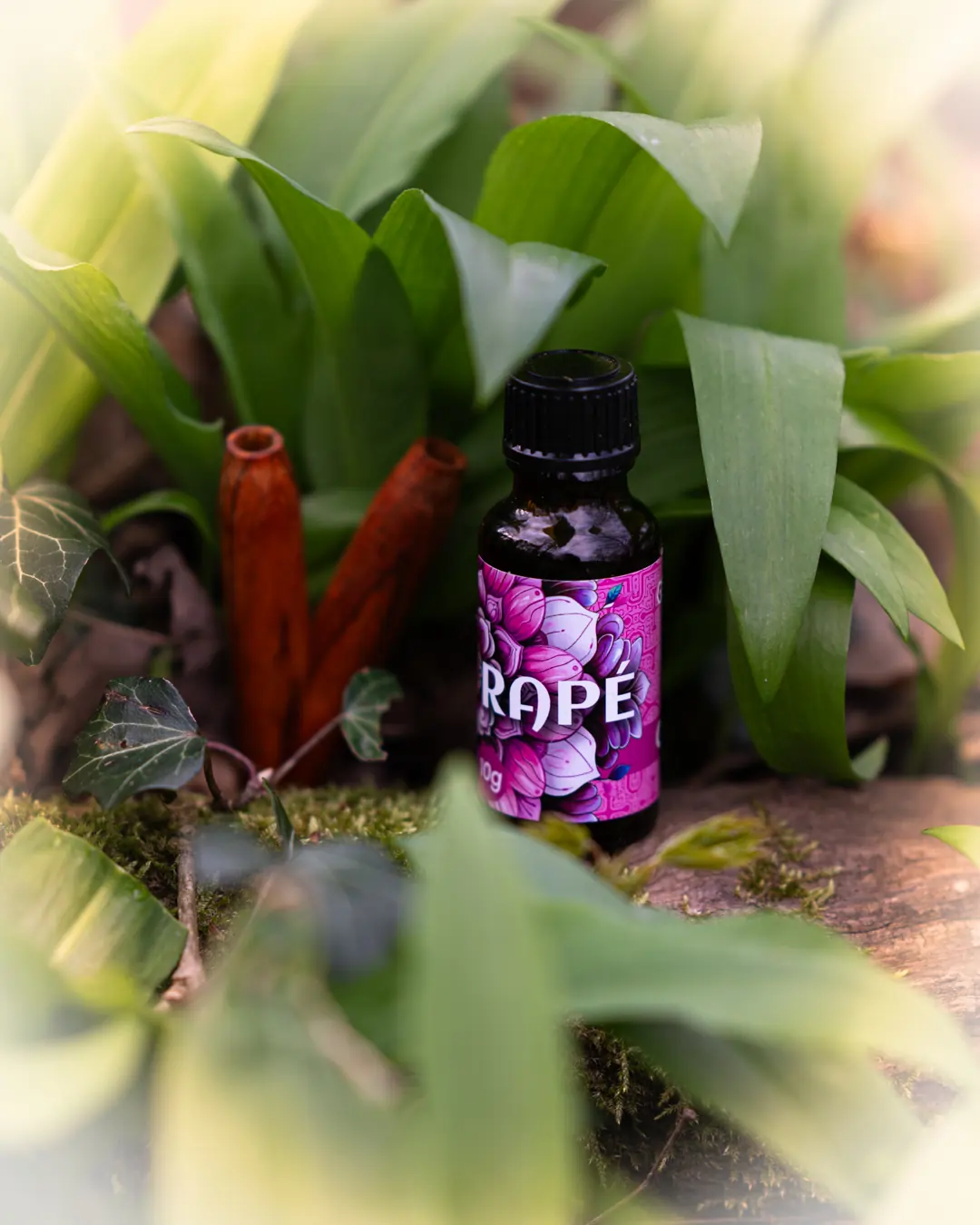 rapé cacau stimmung